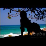 Luciana_IMG_2453.jpg